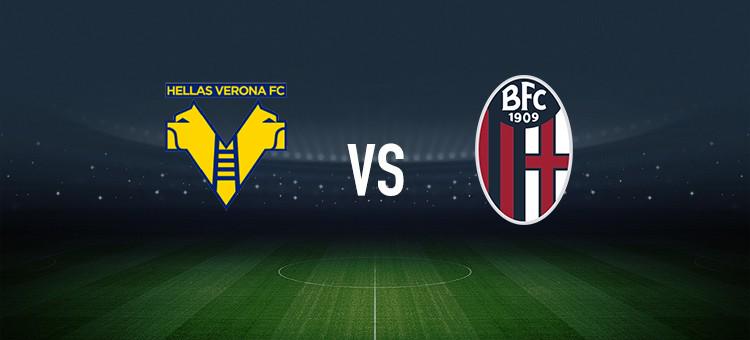 职业发展 职业发展