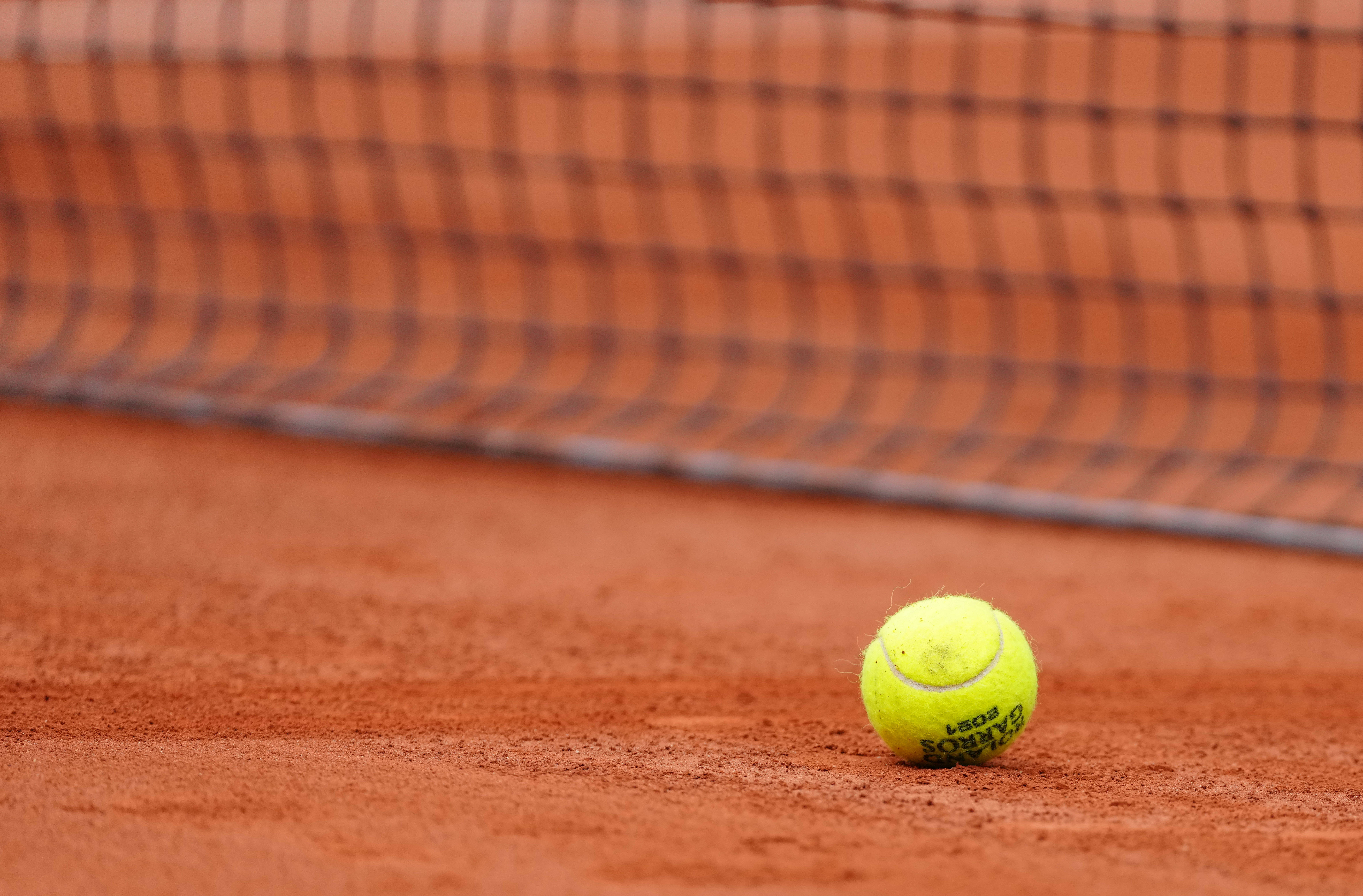 的队友们以 的队友们以